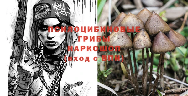 шишки Балабаново