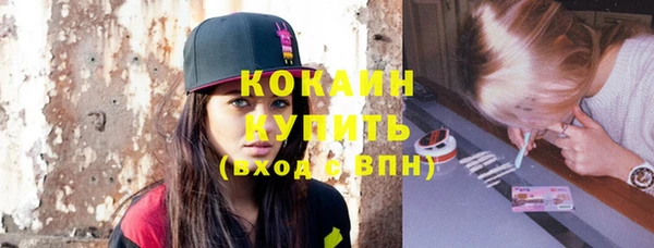 шишки Балабаново