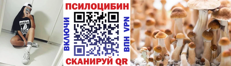 Галлюциногенные грибы мухоморы  закладки  Ржев 